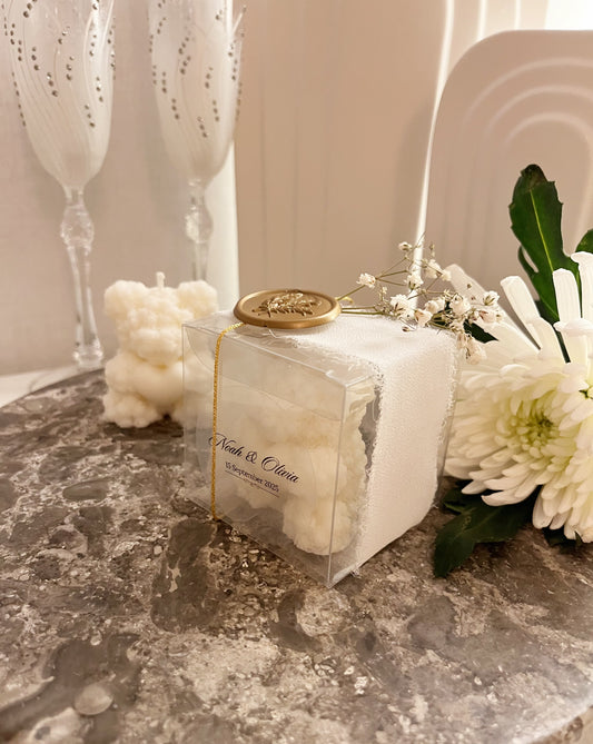 Teddy box Favors